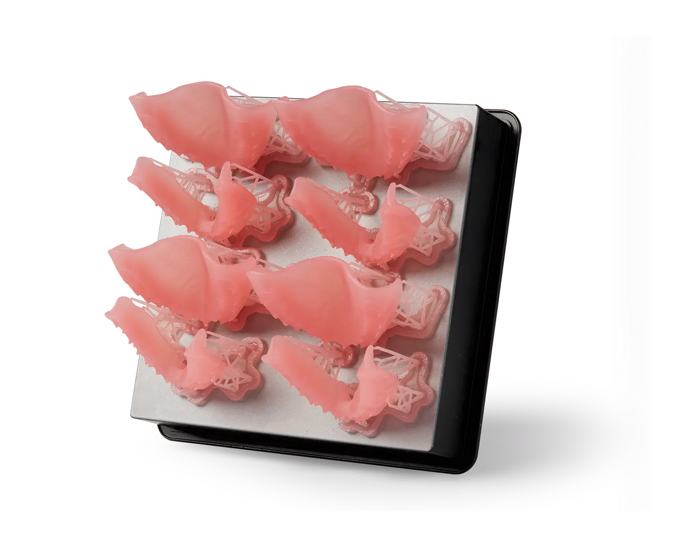 Formlabs Denture Base Resin cartridge