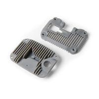 Formlabs Grey Resin V5 (Form 4)