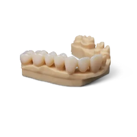 Formlabs Premium Teeth Resin