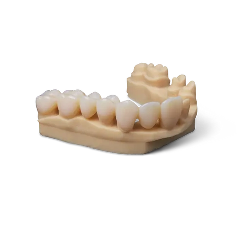 Formlabs Premium Teeth Resin