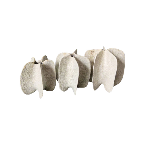 KSPA12 White Nylon Powder